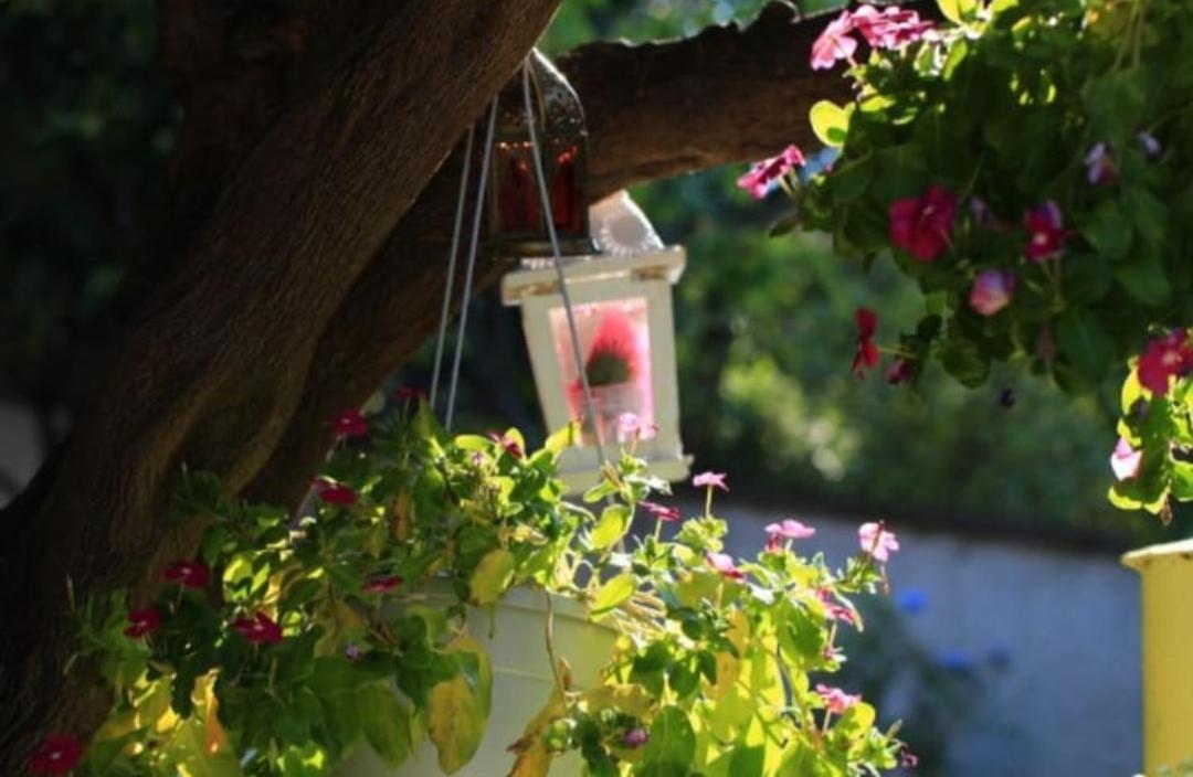 B&B Terramare Montiano (Tuscany) Exterior foto