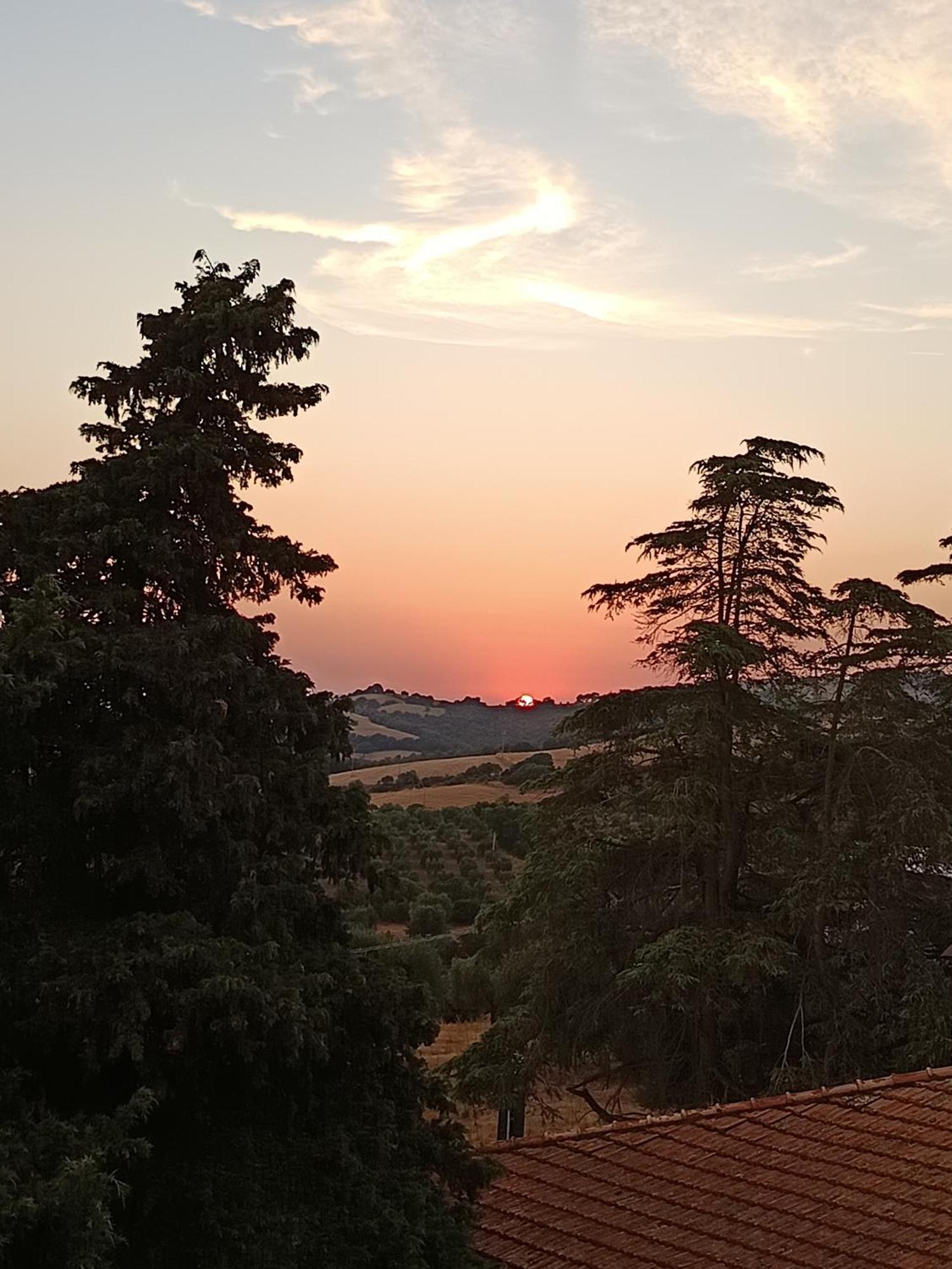 B&B Terramare Montiano (Tuscany) Exterior foto