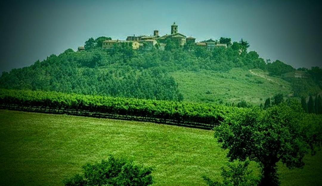 B&B Terramare Montiano (Tuscany) Exterior foto